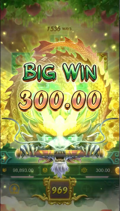 D 333bet login
