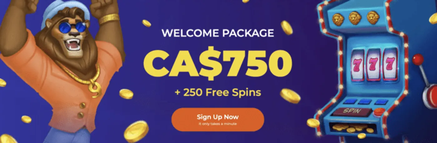 Bet55 com